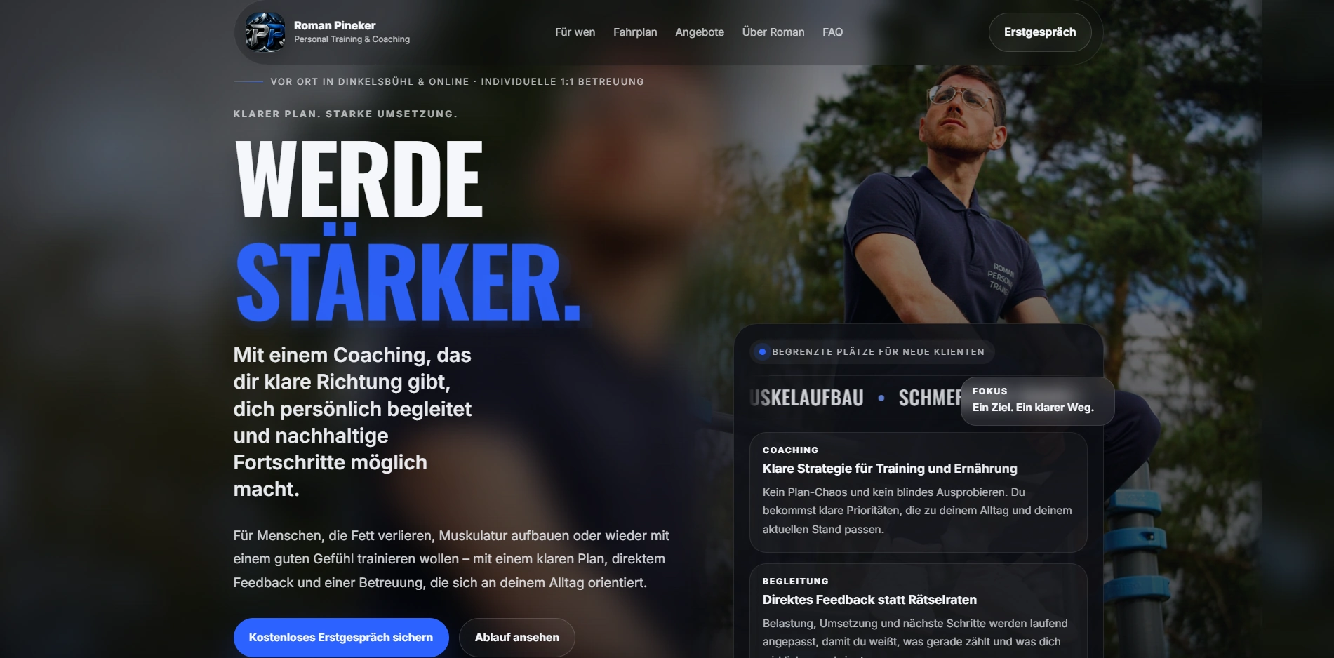 Roman Pineker Website Screenshot